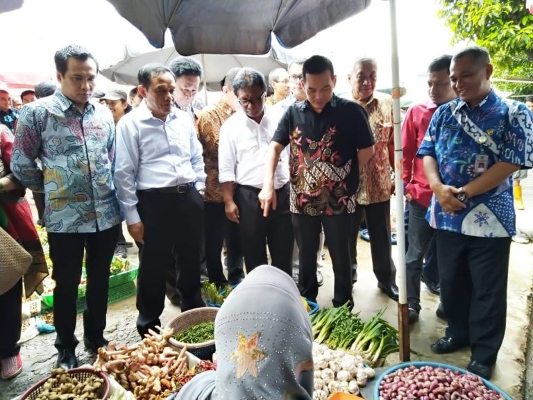 Komisi IV DPR dan Kementan Pantau Harga Pangan Pokok di Palembang