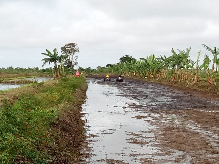 Lahan Rawa Banjar Siap jadi Kindai Limpuar