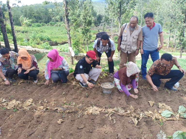 Kementan Dorong Bantaeng Menjadi Sentra Bawang Putih Nasional