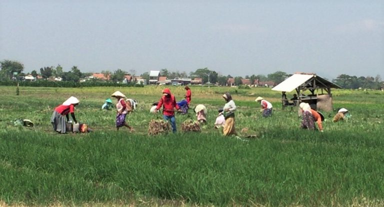 Perang Dagang AS VS China Berpotensi Untungkan Indonesia
