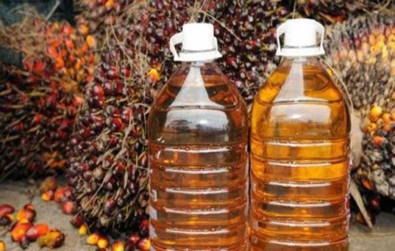 Kabar Baik Petani Sawit: Harga CPO Naik