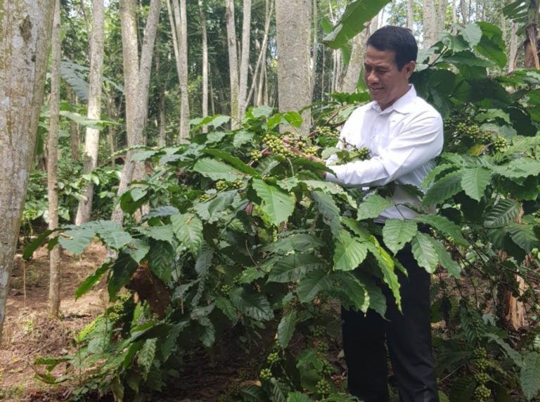 Kurikulum Kopi dan Kakao Tingkatkan Kompetensi