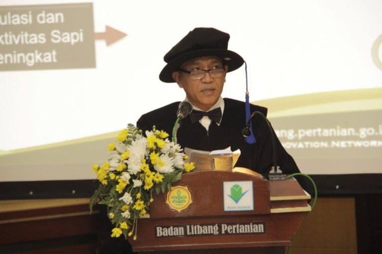 Indonesia sebagai Produsen Kakao Dunia Bukan Mimpi