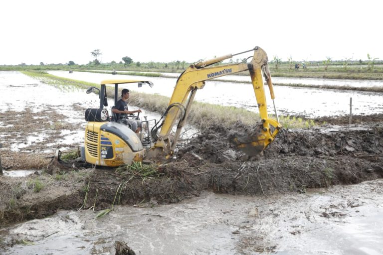 Garap Lahan Rawa, Kementan Proyeksikan Kalsel Jadi Lumbung Pangan di Luar Jawa