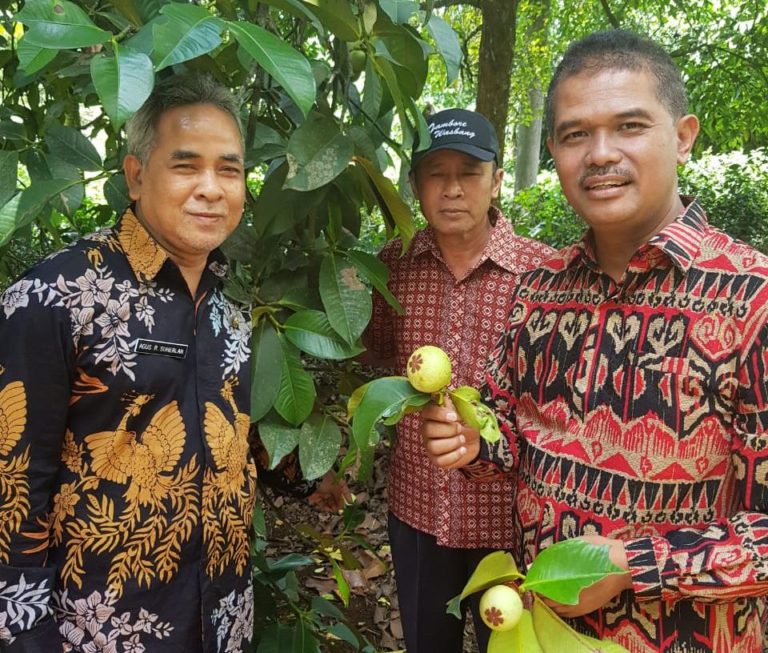 Kementan Pacu Purwakarta Tingkatkan Mutu dan Ekspor Benih Hortikultura