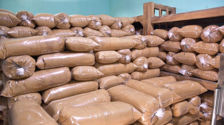 Geliat Prospek Bisnis Gula Semut