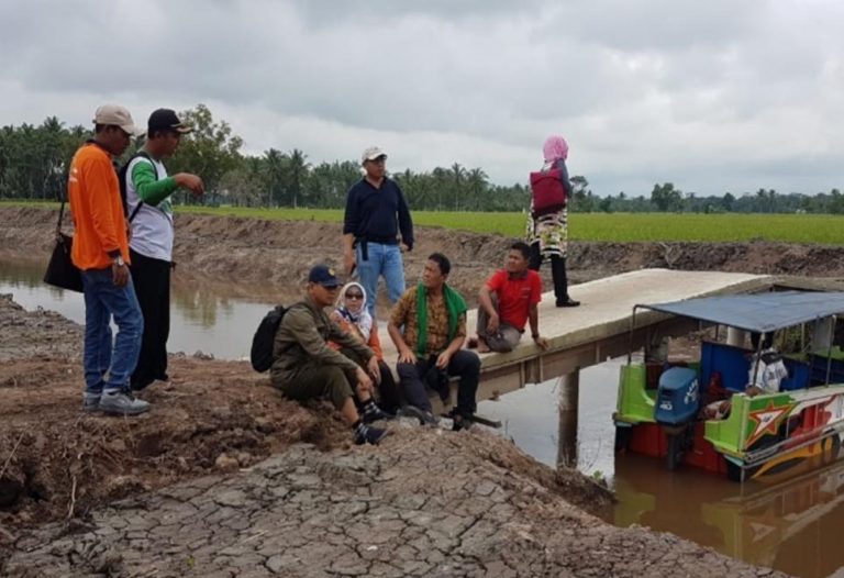 Optimalkan Lahan Rawa, Kementan wujudkan Petani Milenial