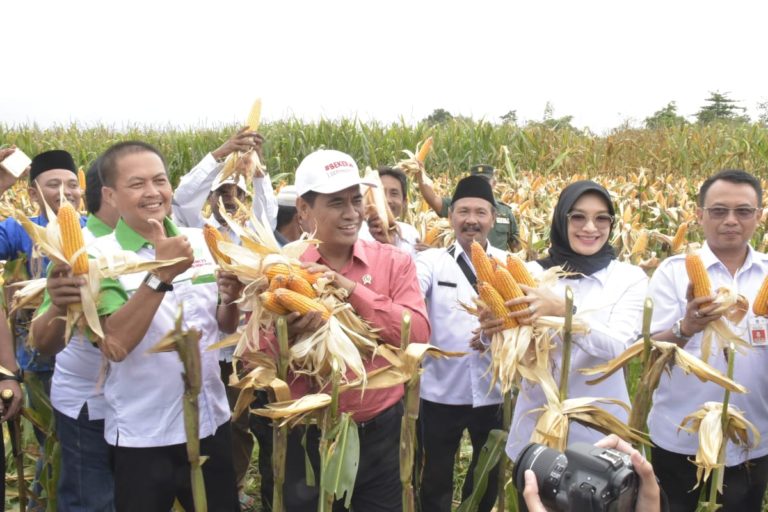 Mentan: Tak Ada Ruang untuk Mafia Pangan!