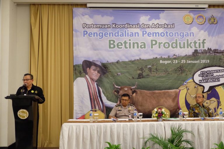 Tahun 2018, Pemerintah Tekan Angka Pemotongan Sapi Betina Produktif Hingga 47,10%
