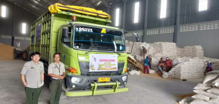 Kementan dan  Bulog Salurkan 5.000 Ton Jagung untuk Peternak Ayam