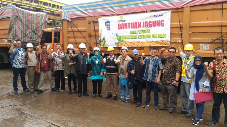 Kementan dan Bulog Distribusikan Jagung Bantu Peternak Ayam Jawa Barat