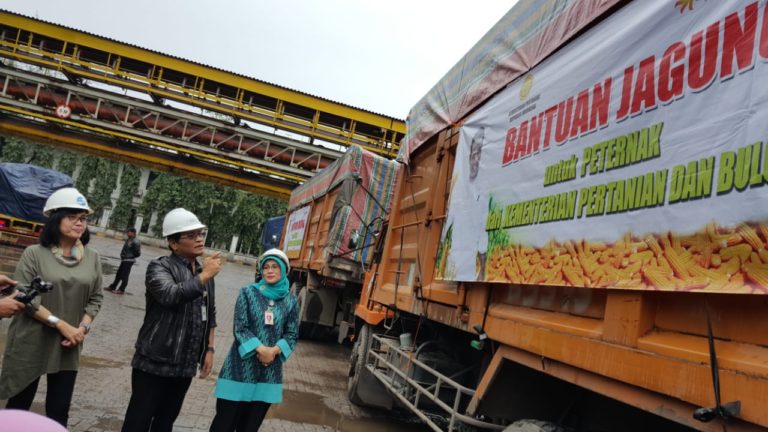 Kementan dan Bulog Distribusikan Jagung untuk Peternak Ayam Jawa Barat