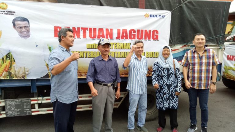Kementan dan Bulog Distribusikan Jagung Bantu Peternak Ayam di Jateng