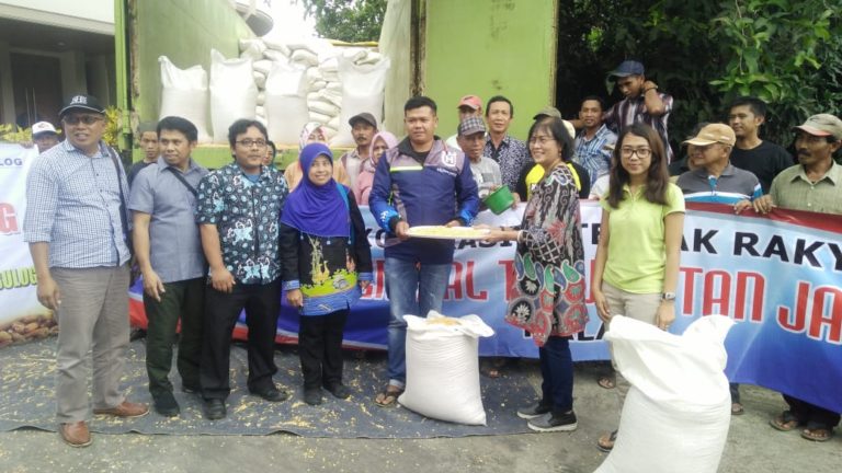 Peternak Ayam Petelur di Malang Sumringah