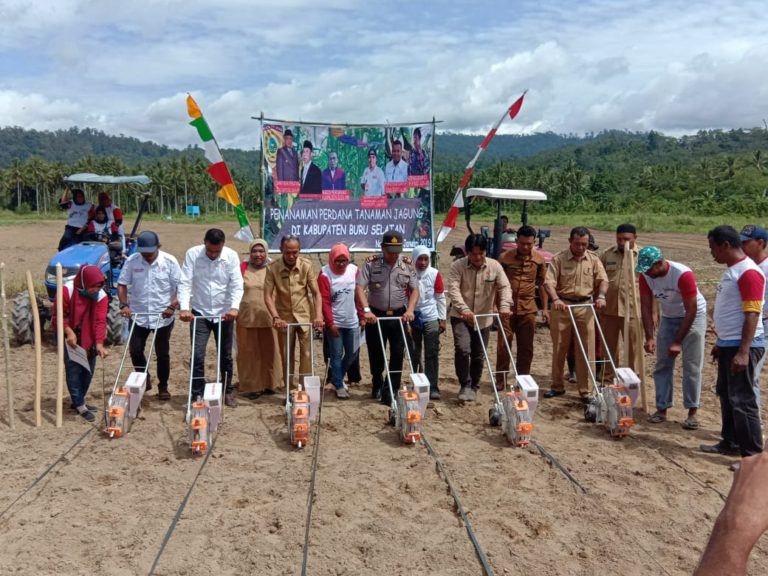 Buru Lumbung Pangan Baru Indonesia