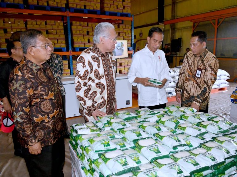 Cek Gudang Bulog, Jokowi Pastikan Stok Beras Terjaga