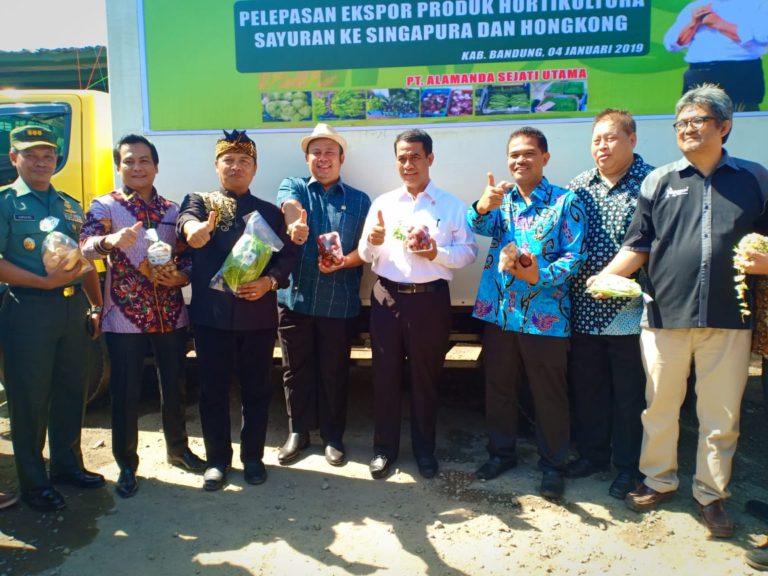 Cerita Bupati Bandung Sukses Kembangkan Komoditas Hortikultura Berorientasi Ekspor