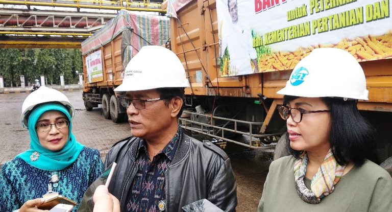 Kelompok Peternak Ayam Apresiasi Bantuan Jagung dari Kementan