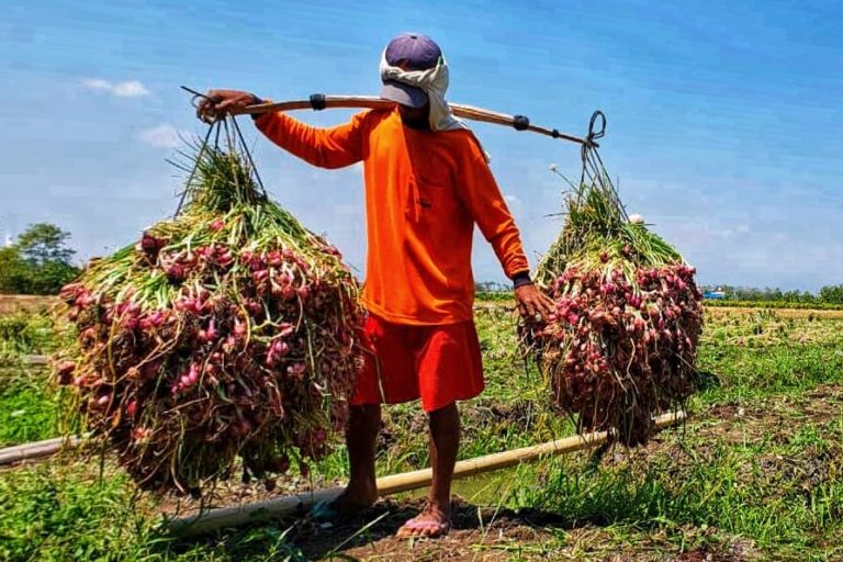 Data BPS: Desember 2018 NTP dan NTUP Naik