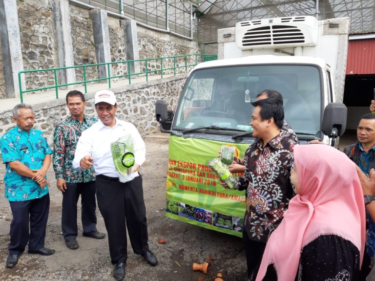 Awali Tahun 2019, Mentan Langsung Tancap Gas Ekspor Sayuran