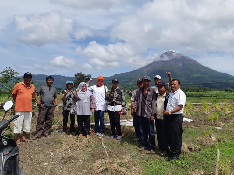 Petani Kaki Gunung Sinabung kembali Tanam Bawang Putih demi Mendukung Swasembada