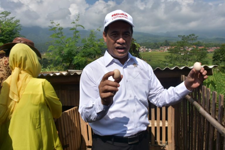 Mentan Amran Bangga, RTM di Tasikmalaya Produksi DOC Sendiri