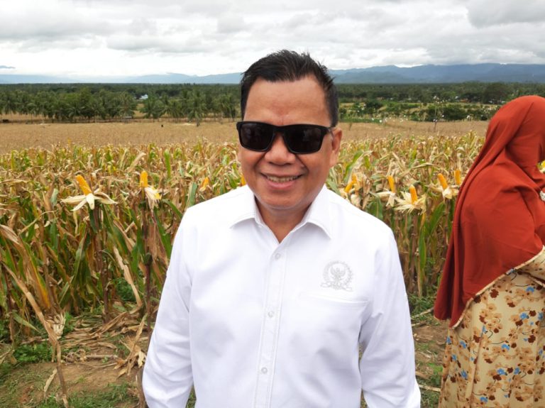 Komisi IV DPR RI Minta Menko Darmin Jangan Bicara Impor, Tapi Turun ke Lapangan