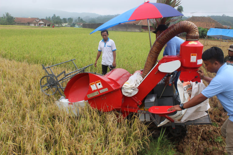 Serap Gabah Petani, Bulog Jabar Optimalkan Kemitraan dengan Penggilingan