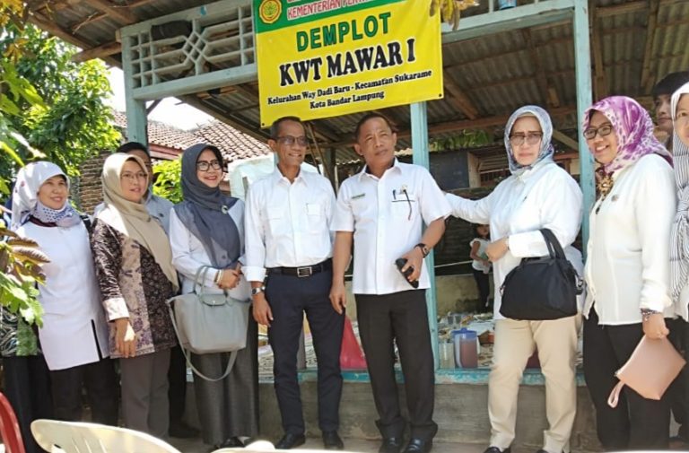 Upaya BKP Kementan Tingkatkan Gizi Keluarga