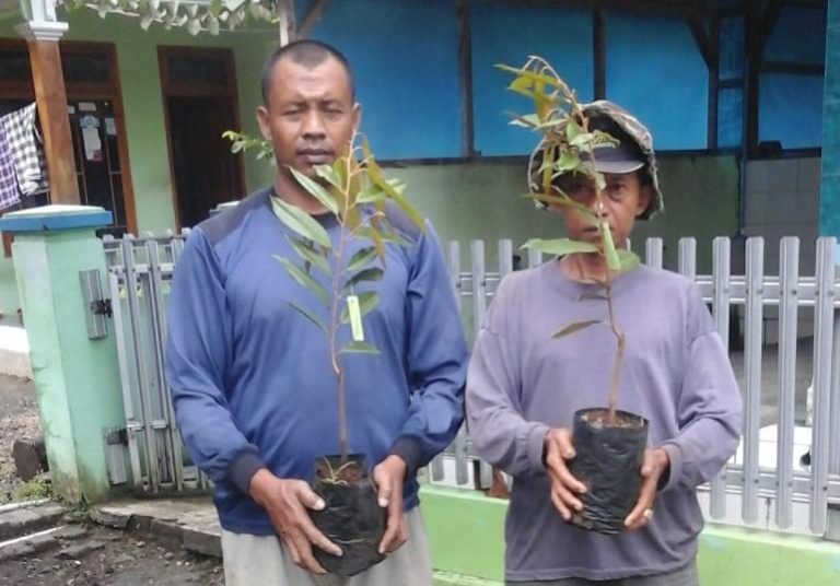 Petani di Ciamis Gembira Terima Bibit Durian Langsung Sampai dari Presiden Jokowi
