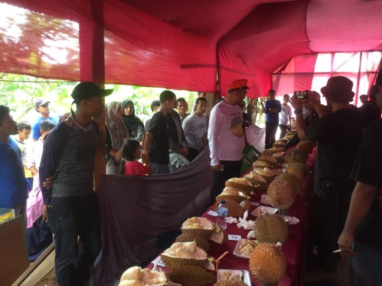 Festival Durian Lokal Kembali Pamerkan Kekayaan Durian Asli Indonesia