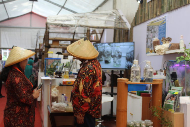 Berjejer Rapi, 78 Stan “Mejeng” Cantik di Pameran RNPK 2019