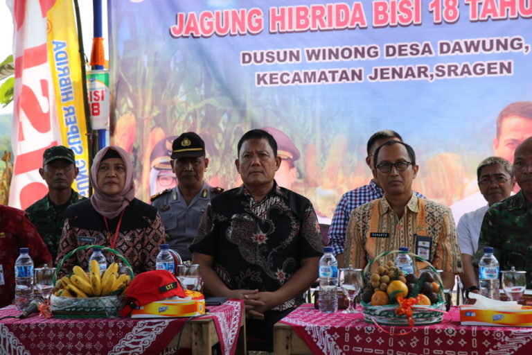Kementan Fasilitasi Petani Jagung Alat Pertanian hingga Benih