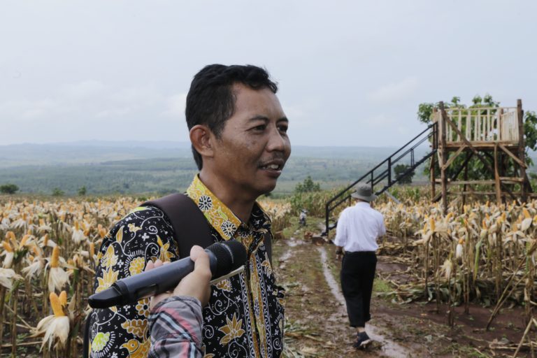 Di Tuban, Petani Tolak Impor Jagung
