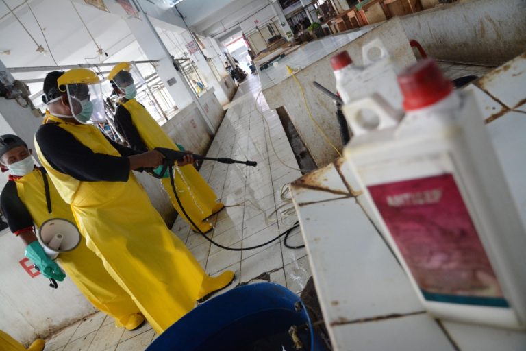 Kementan-FAO Inisiasi Model Pasar Unggas BERSAMA di Jabodetabek
