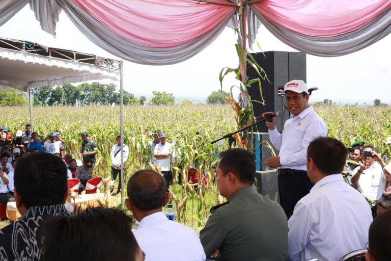 Panen Jagung di Lamongan, Mentan Amran Harap Petani dan Peternak Senang
