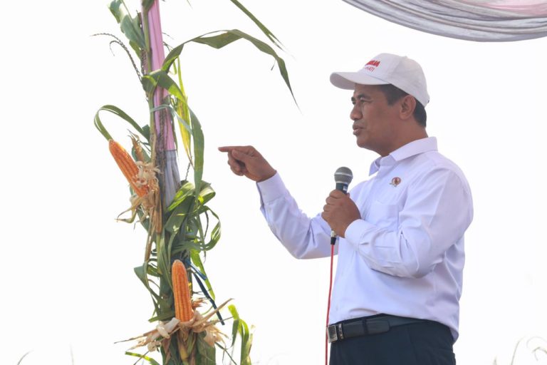 HIPMI apresiasi Menteri Amran tolak impor jagung Argentina
