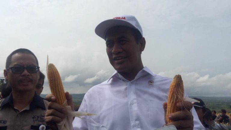 Panen Raya di Tuban, Menteri Pertanian Janji Ekspor 2019 Meningkat