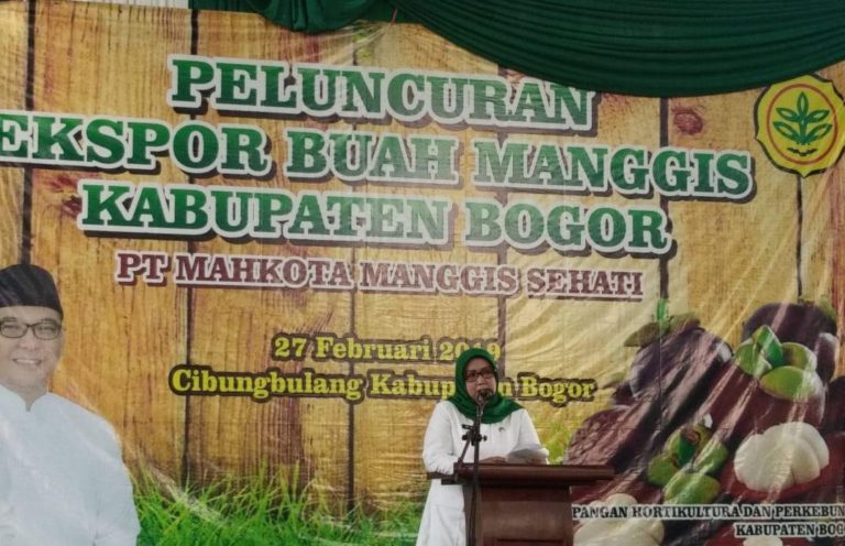 Banjir Bandang di Gunung Mas, Bupati Bogor ‘Sentil’ PTPN