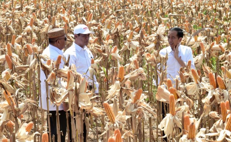 Sektor Pertanian Kembali Beri Andil Penurunan Angka Inflasi Februari 2019