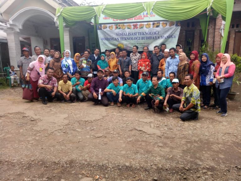 Petani Mangga Kabupaten Probolinggo Siap Mendukung Ekspor