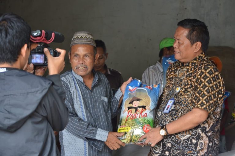Bantuan Benih Padi Pemerintah Tahan Hama, Petani: Lanjutkan!