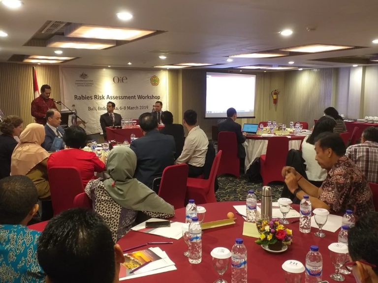 Jadi Tuan Rumah Rabies Risk Assesment Asia Tenggara, Dirjen PKH Beber Tantangan Bebas Rabies 2030