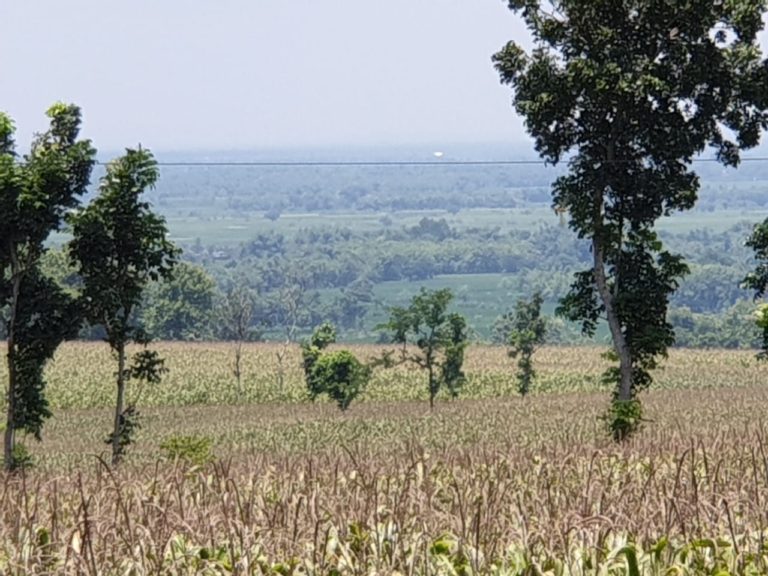 Kementan Dorong Pembangunan Pertanian di Bangkalan Madura