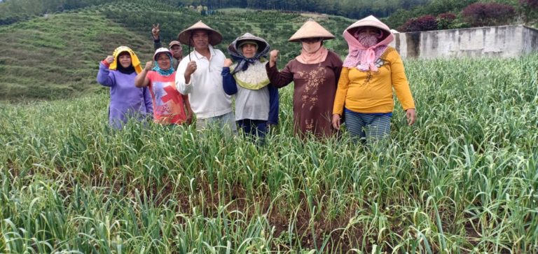 Makin Lengkap, Kota Batu Kembangkan Kawasan Agropolitan Plus Bawang Putih
