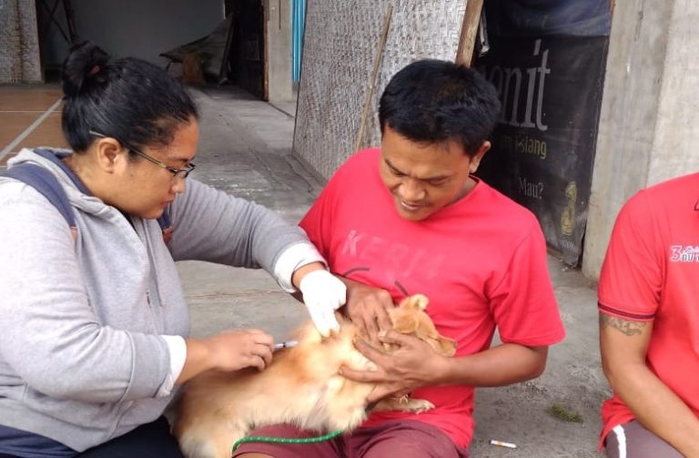 Upaya Kementan Kendalikan Rabies di Bali