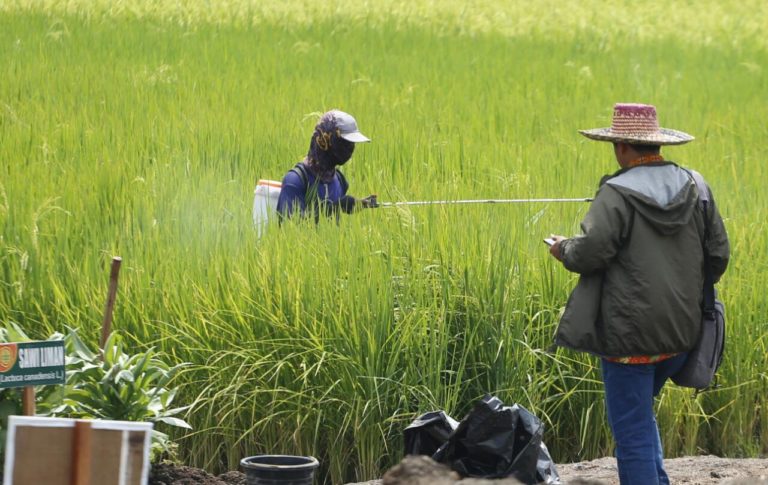 Ajakan Ikuti Rembug Petani Peternak Menuai Penolakan Petani Sendiri