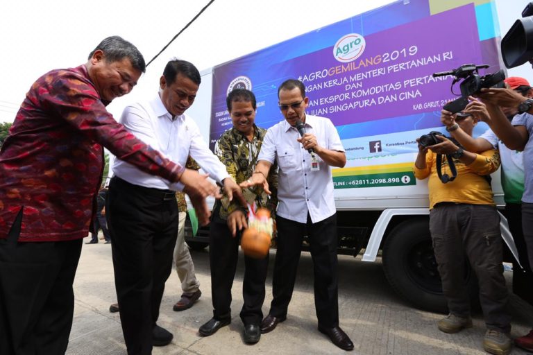 Mentan Lepas Ekspor 5 Ton Kentang Hasil Petani Garut