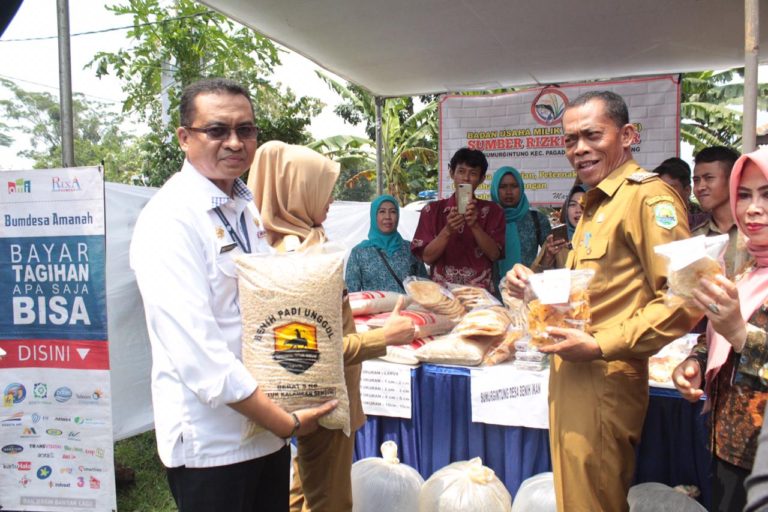 Kembangkan BUMDes, Kemendes PDTT Lirik Potensi Subang