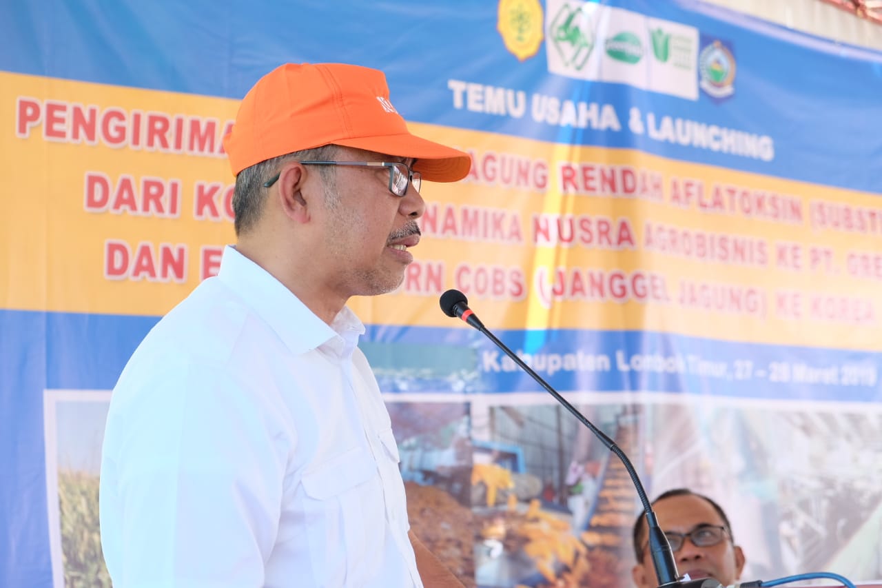 Kementan Dorong Pengembangan Jagung Rendah Aflatoksin sebagai Subtitusi Impor